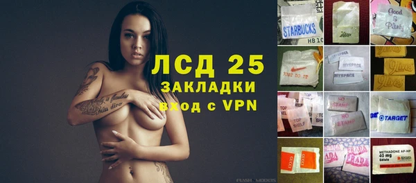 шишки Абаза