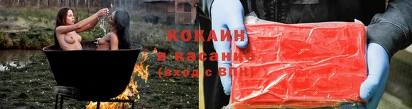 шишки Абаза