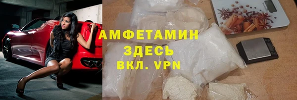 шишки Абаза