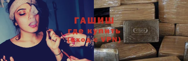 шишки Абаза