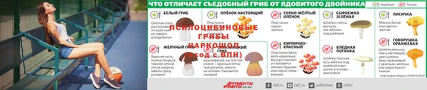 шишки Абаза