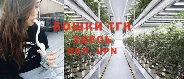 шишки Абаза