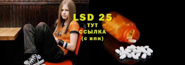 шишки Абаза