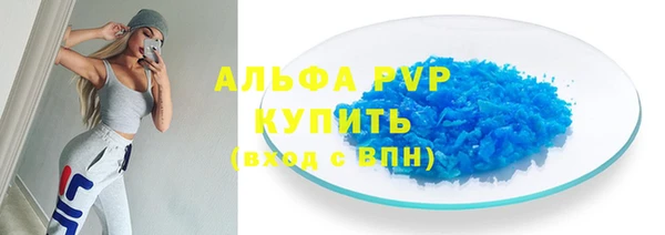 шишки Абаза