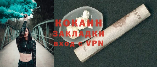 шишки Абаза