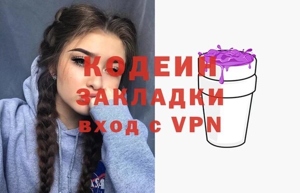 шишки Абаза