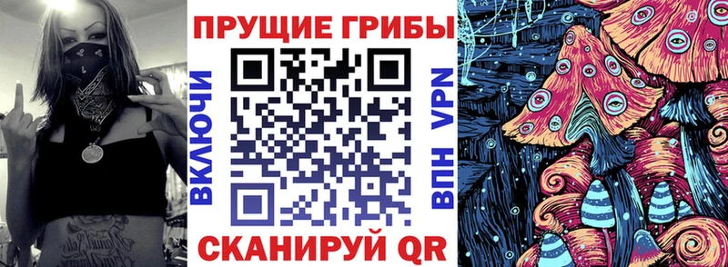 наркошоп  Южноуральск  Псилоцибиновые грибы прущие грибы 