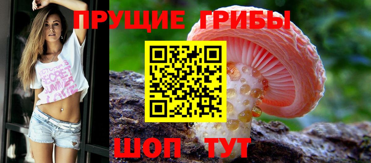 Галлюциногенные грибы прущие грибы Южноуральск