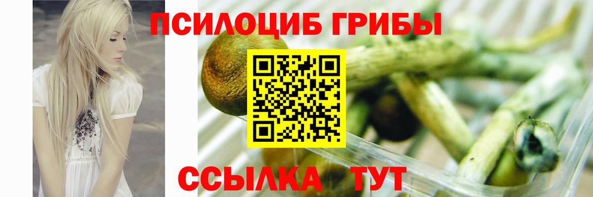 Псилоцибиновые грибы MAGIC MUSHROOMS  Вход с VPN  Псилоцибиновые грибы прущие грибы  Южноуральск 